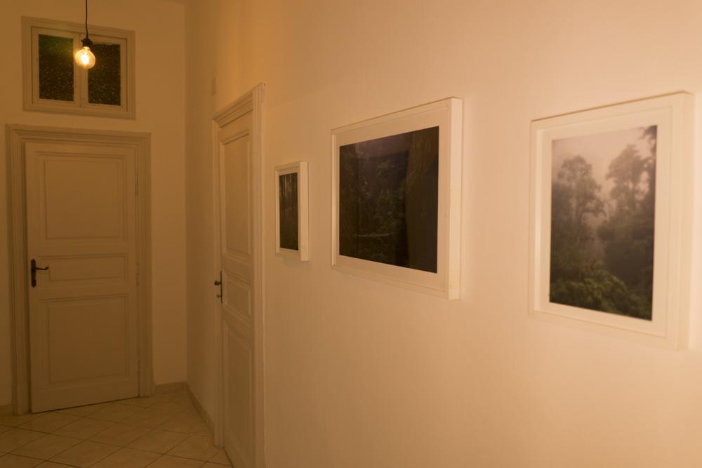 Trastevere Corner Eight Ρώμη Εξωτερικό φωτογραφία