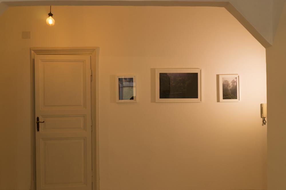 Trastevere Corner Eight Ρώμη Εξωτερικό φωτογραφία